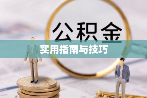 丰滨实用指南与技巧