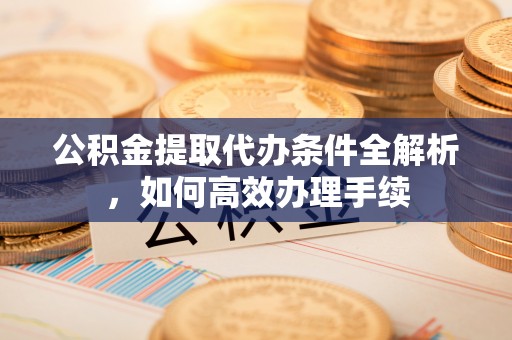丰滨公积金提取代办条件全解析，如何高效办理手续