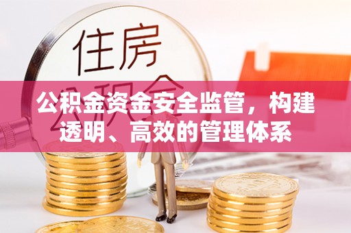丰滨公积金资金安全监管，构建透明、高效的管理体系