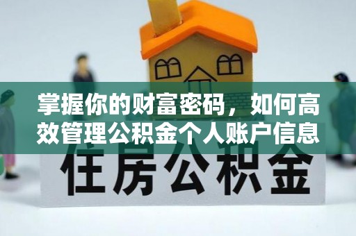 丰滨掌握你的财富密码，如何高效管理公积金个人账户信息