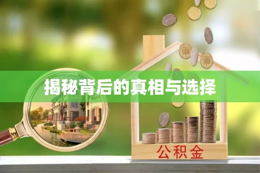 丰滨揭秘背后的真相与选择