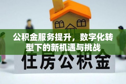 丰滨公积金服务提升，数字化转型下的新机遇与挑战