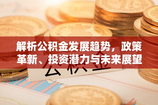 丰滨解析公积金发展趋势，政策革新、投资潜力与未来展望
