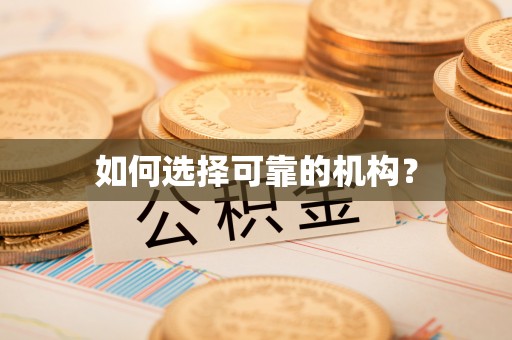 丰滨如何选择可靠的机构？