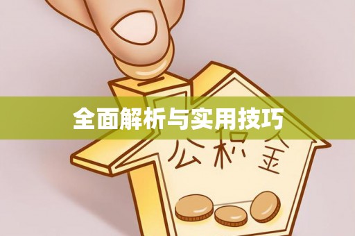 丰滨全面解析与实用技巧