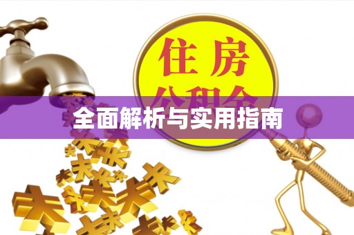 丰滨全面解析与实用指南