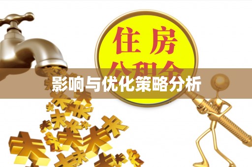 丰滨影响与优化策略分析