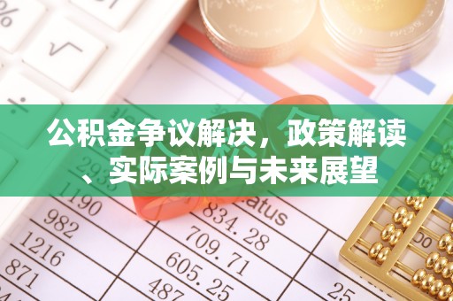 丰滨公积金争议解决，政策解读、实际案例与未来展望