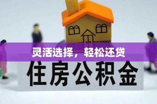 丰滨灵活选择，轻松还贷