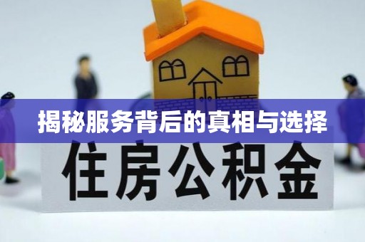 丰滨揭秘服务背后的真相与选择
