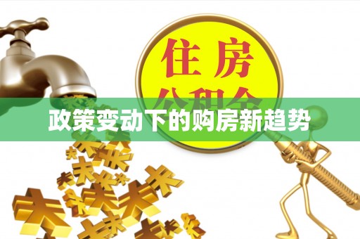 丰滨政策变动下的购房新趋势