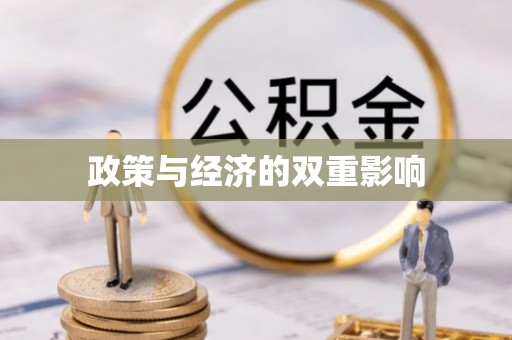 丰滨政策与经济的双重影响