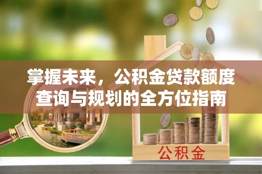 丰滨掌握未来，公积金贷款额度查询与规划的全方位指南