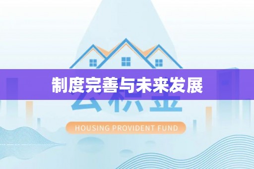 丰滨制度完善与未来发展