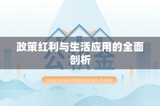 丰滨政策红利与生活应用的全面剖析