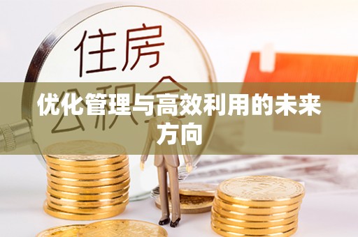 丰滨优化管理与高效利用的未来方向