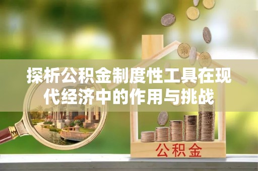 丰滨探析公积金制度性工具在现代经济中的作用与挑战