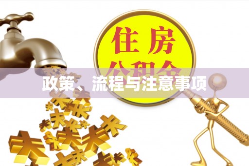 丰滨政策、流程与注意事项