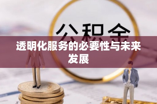 丰滨透明化服务的必要性与未来发展