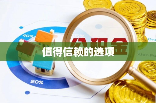 丰滨值得信赖的选项
