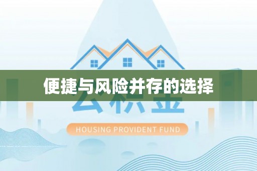 丰滨便捷与风险并存的选择