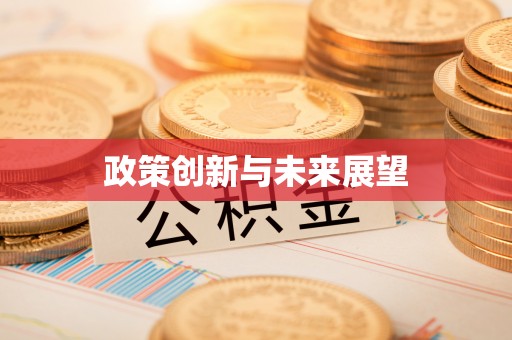 丰滨政策创新与未来展望