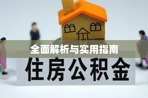 丰滨全面解析与实用指南
