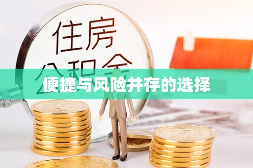 丰滨便捷与风险并存的选择