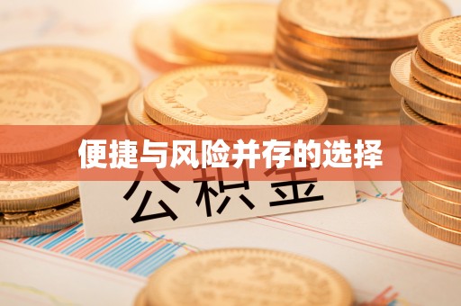 丰滨便捷与风险并存的选择